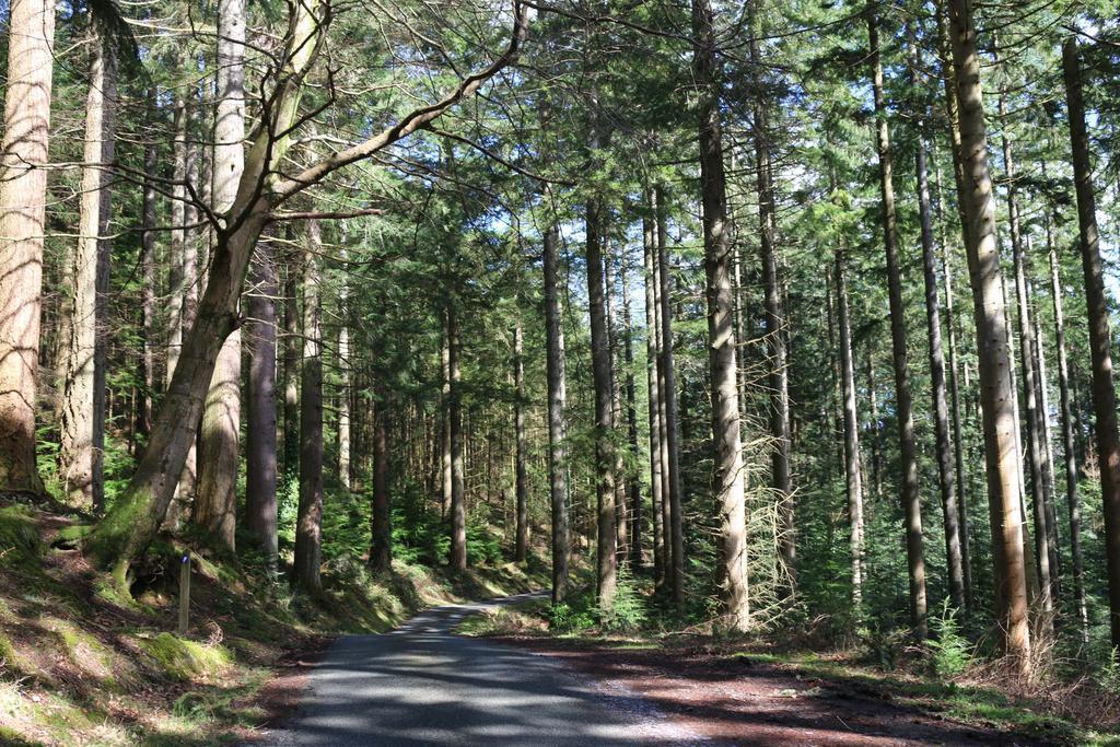 Bod Gwynedd Bed And Breakfast Betws-y-Coed Bagian luar foto