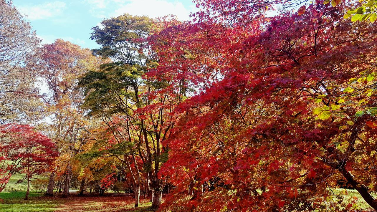 Bod Gwynedd Bed And Breakfast Betws-y-Coed Bagian luar foto